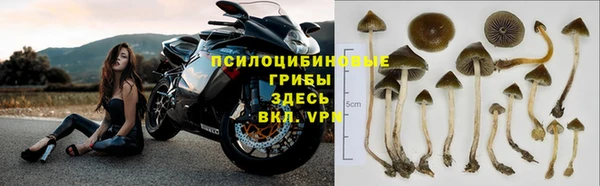 хмурый Белоозёрский