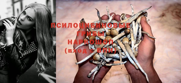 apvp Беломорск