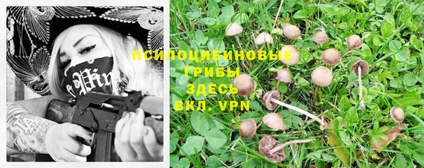 apvp Беломорск